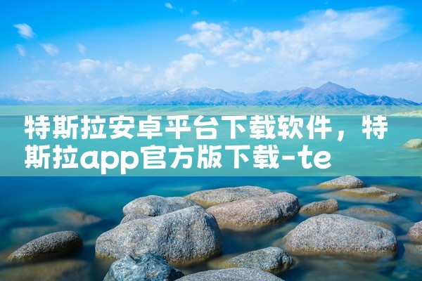 特斯拉安卓平台下载软件