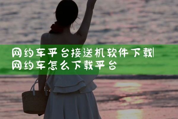 网约车平台接送机软件下载